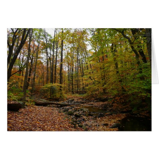 Activiteiten in de omgeving van herfst Creek at La (Voorkant Horizontaal)