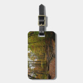 Activiteiten in de omgeving van herfst Creek at La Bagagelabel (Voorkant verticaal)