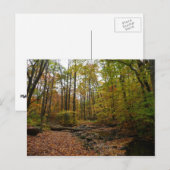 Activiteiten in de omgeving van herfst Creek at La Briefkaart (Voorkant / Achterkant)