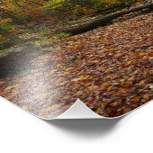 Activiteiten in de omgeving van herfst Creek at La Foto Afdruk (Hoek)