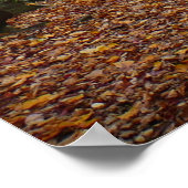 Activiteiten in de omgeving van herfst Creek at La Poster (Hoek)