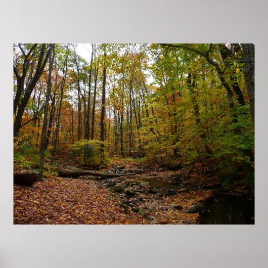 Activiteiten in de omgeving van herfst Creek at La Poster (Voorkant)