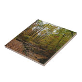 Activiteiten in de omgeving van herfst Creek at La Tegeltje (Zijkant)