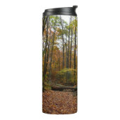 Activiteiten in de omgeving van herfst Creek at La Thermosbeker (Gedraaid links)