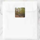 Activiteiten in de omgeving van herfst Creek at La Vierkante Sticker (Tas)