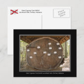 Activiteiten in de omgeving van Historic Landmark  Briefkaart (Voorkant / Achterkant)