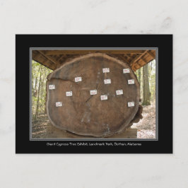 Activiteiten in de omgeving van Historic Landmark Briefkaart