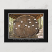 Activiteiten in de omgeving van Historic Landmark  Briefkaart (Voorkant)