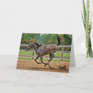 Activiteiten in de omgeving van Horse Tennessee Wa Kaart