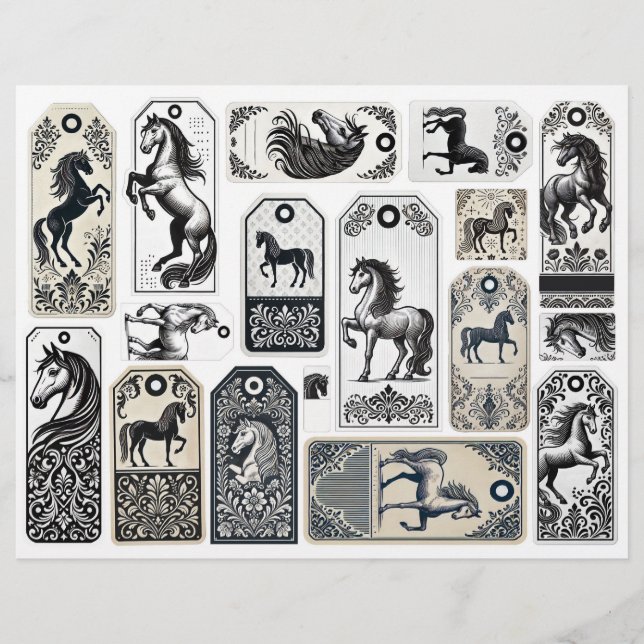 Activiteiten in de omgeving van Horses and Damask  (Voorkant)