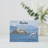 Activiteiten in de omgeving van Humpback Whale Ken Briefkaart (Staand voorkant)