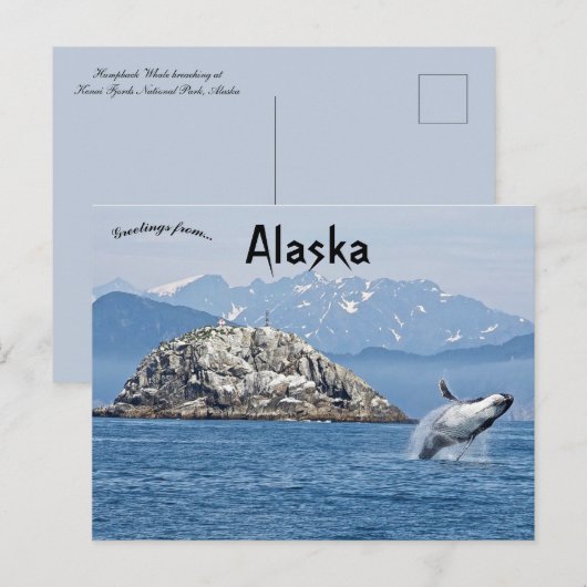 Activiteiten in de omgeving van Humpback Whale Ken Briefkaart (Voorkant / Achterkant)