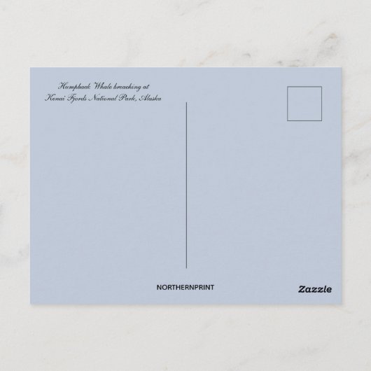 Activiteiten in de omgeving van Humpback Whale Ken Briefkaart (Achterkant)