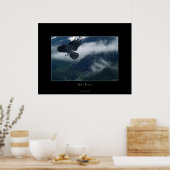 Activiteiten in de omgeving van Hyder Raven Wildli Poster (Keuken)