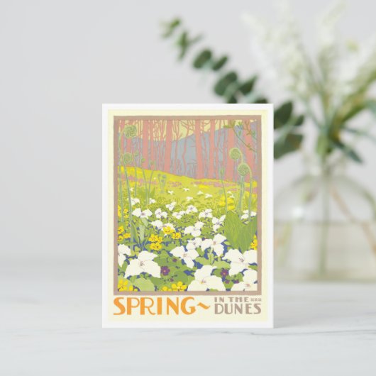 Activiteiten in de omgeving van Indiana Dunes Vint Briefkaart (Staand voorkant)