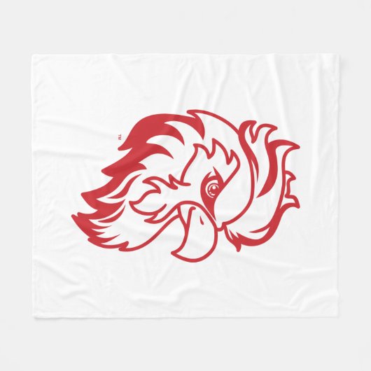 Activiteiten in de omgeving van Jacksonville State Fleece Deken (Voorkant (Horizontaal))