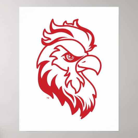 Activiteiten in de omgeving van Jacksonville State Poster (Voorkant)