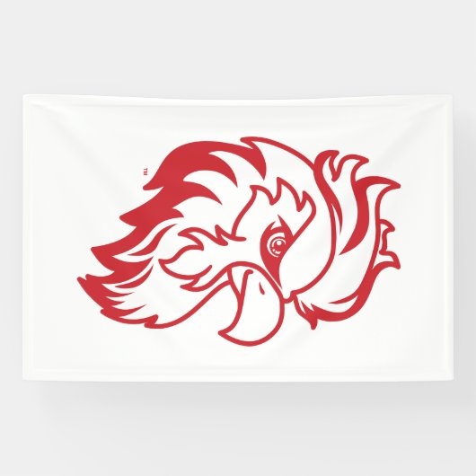 Activiteiten in de omgeving van Jacksonville State Spandoek (Horizontaal)