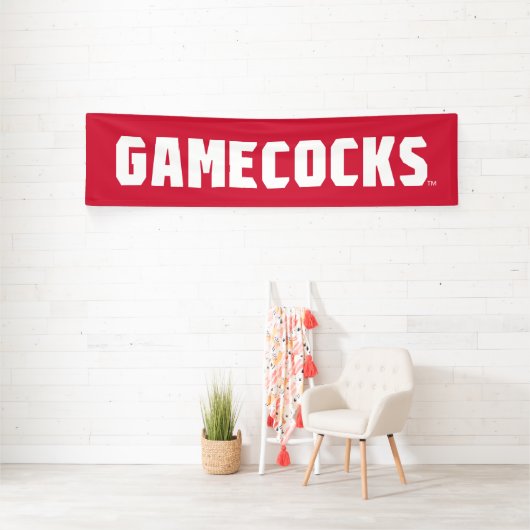 Activiteiten in de omgeving van Jacksonville State Spandoek (Insitu)