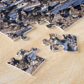 Activiteiten in de omgeving van Jay Cooke State Pa Legpuzzel (Zijkant)