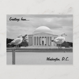 Activiteiten in de omgeving van Jefferson Memorial Briefkaart
