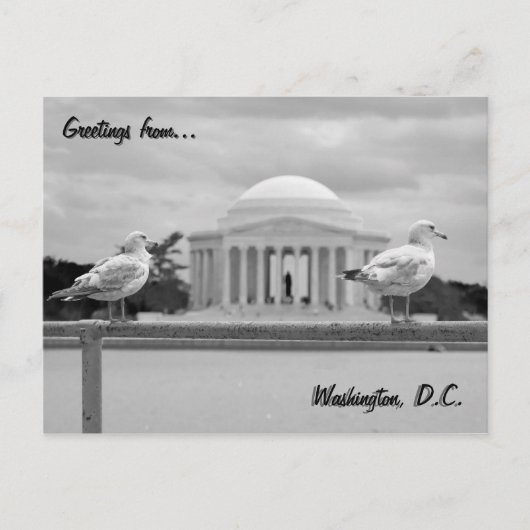 Activiteiten in de omgeving van Jefferson Memorial Briefkaart (Voorkant)