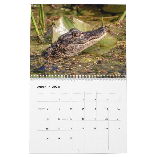 Activiteiten in de omgeving van John Chestnut Sr.  Kalender (Mar 2026)