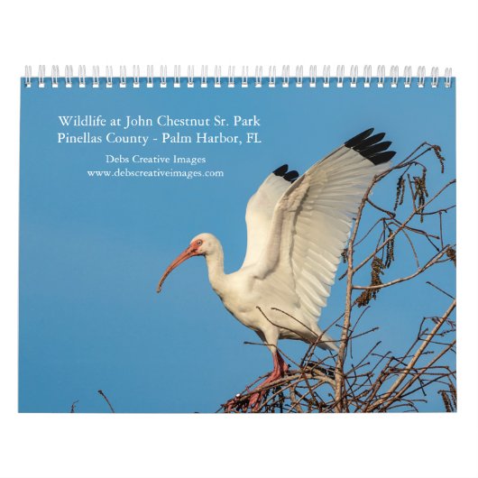 Activiteiten in de omgeving van John Chestnut Sr.  Kalender (Hoes)