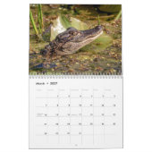 Activiteiten in de omgeving van John Chestnut Sr.  Kalender (Mar 2027)