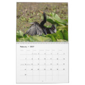Activiteiten in de omgeving van John Chestnut Sr.  Kalender (Feb 2027)