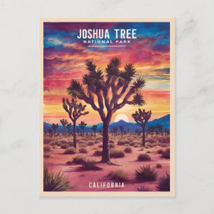 Activiteiten in de omgeving van Joshua Tree Nation Briefkaart
