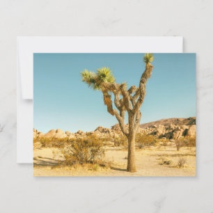 Activiteiten in de omgeving van Joshua Tree Nation Briefkaart