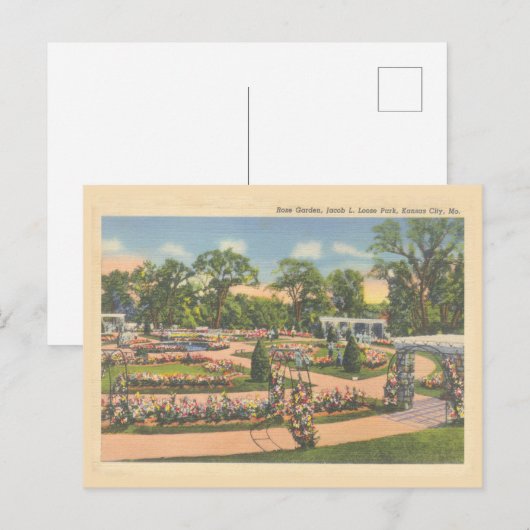 Activiteiten in de omgeving van  Kansas City Roos  Briefkaart (Voorkant / Achterkant)