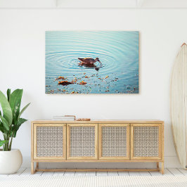 Activiteiten in de omgeving van Key West Shorebird Canvas Afdruk