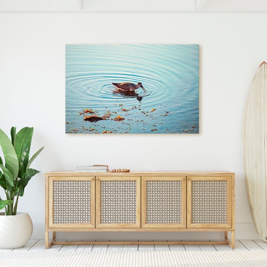 Activiteiten in de omgeving van Key West Shorebird Canvas Afdruk