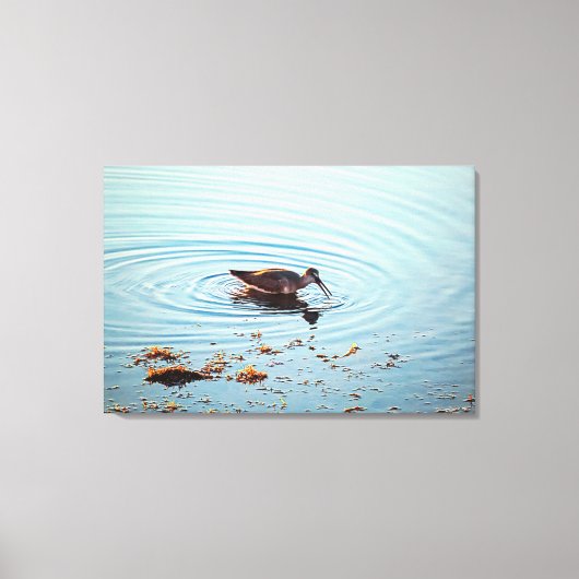 Activiteiten in de omgeving van Key West Shorebird Canvas Afdruk (Voorkant)