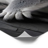 Activiteiten in de omgeving van Koala Wildlife Maj Poster (Hoek)