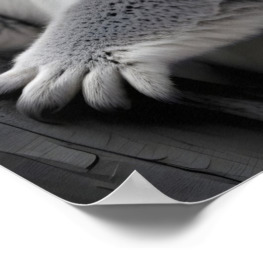 Activiteiten in de omgeving van Koala Wildlife Maj Poster (Hoek)