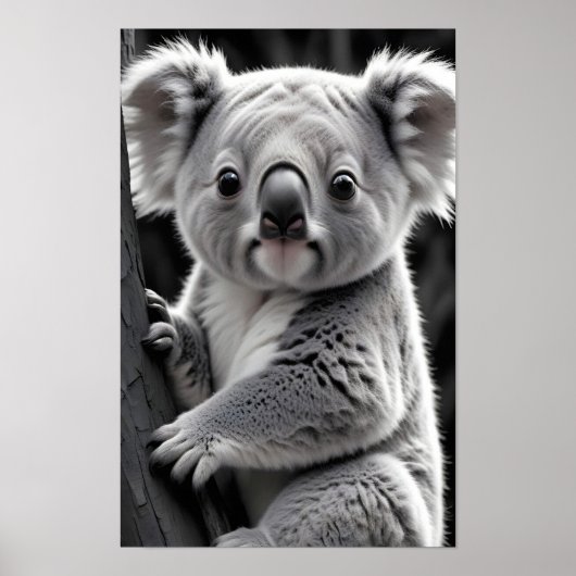 Activiteiten in de omgeving van Koala Wildlife Maj Poster (Voorkant)