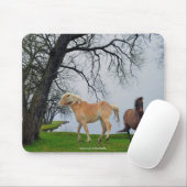 Activiteiten in de omgeving van Lake Animal Art Mo Muismat (Met muis)