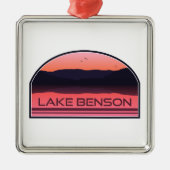 Activiteiten in de omgeving van Lake Benson North  Metalen Ornament (Voorkant)