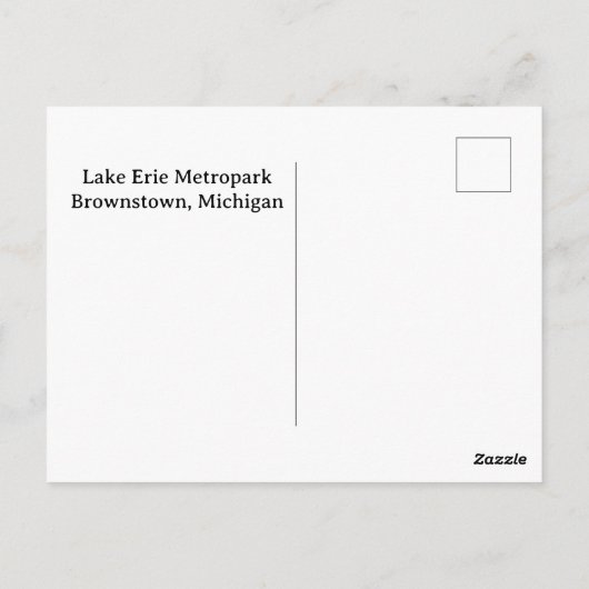 Activiteiten in de omgeving van Lake Erie Metropar Briefkaart (Achterkant)