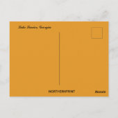 Activiteiten in de omgeving van Lake Lanier Georgi Briefkaart (Achterkant)