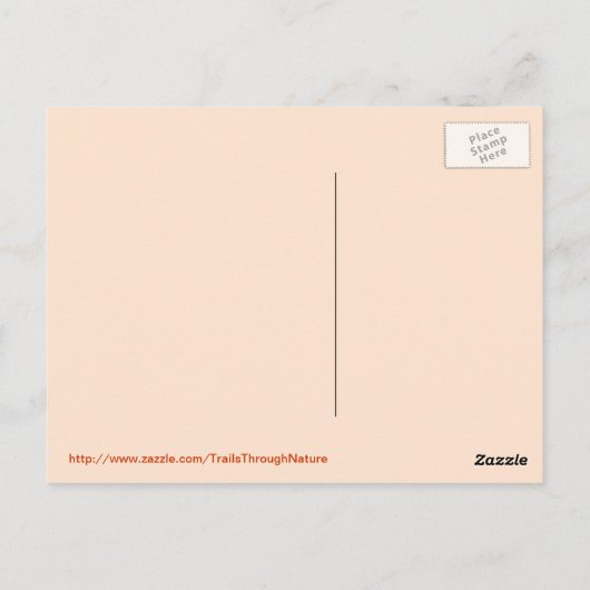 Activiteiten in de omgeving van Lake Reflection Su Briefkaart (Achterkant)