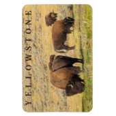 Activiteiten in de omgeving van Lamar Valley Bison Magneet (Verticaal)