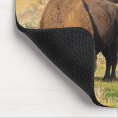Activiteiten in de omgeving van Lamar Valley Bison Muismat (Hoek)