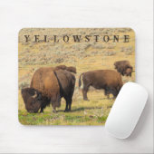 Activiteiten in de omgeving van Lamar Valley Bison Muismat (Met muis)