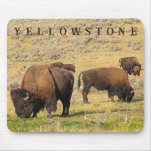 Activiteiten in de omgeving van Lamar Valley Bison Muismat
