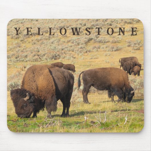 Activiteiten in de omgeving van Lamar Valley Bison Muismat (Voorkant)