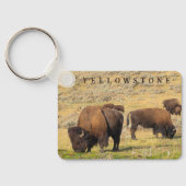 Activiteiten in de omgeving van Lamar Valley Bison Sleutelhanger (Achterkant)